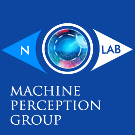 MACHINE PERCEPTION GROUP